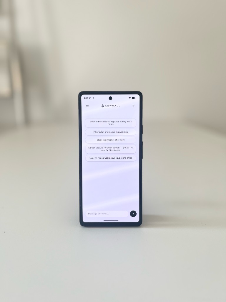 SKYWALL OS running on a Google Pixel device